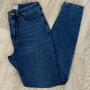 EVERLANE the curvy high rise skinny jean size 26 regular